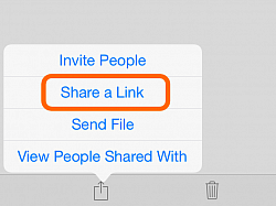 On an iPad, select your file in OneDrive app, then tap the share icon and 